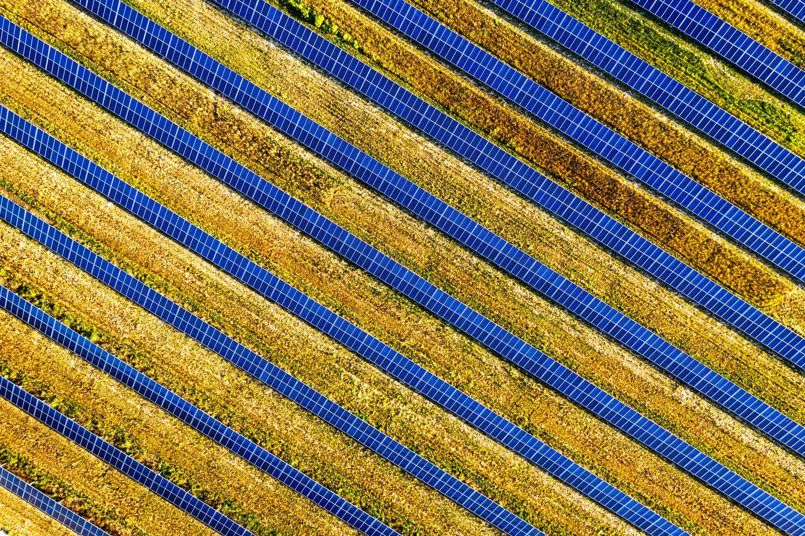 Panneaux photovoltaïques sur une prairie agricole